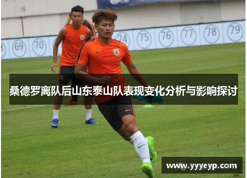 桑德罗离队后山东泰山队表现变化分析与影响探讨