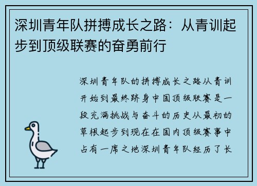 深圳青年队拼搏成长之路:从青训起步到顶级联赛的奋勇前行 深圳青年队拼搏成长之路:从青训起步到顶级联赛的奋勇前行